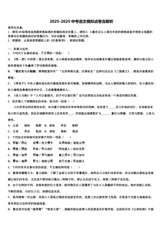 广东省2025年深圳市龙岗区布吉中学中考语文考试模拟冲刺卷含解析