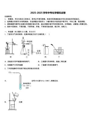 广东省2025年深圳市龙岗区德琳校中考化学猜题卷含解析