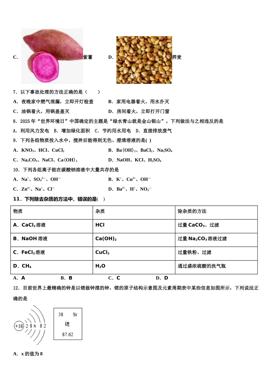 广东省2025年深圳市龙岗区石芽岭校中考试题猜想化学试卷含解析_第3页