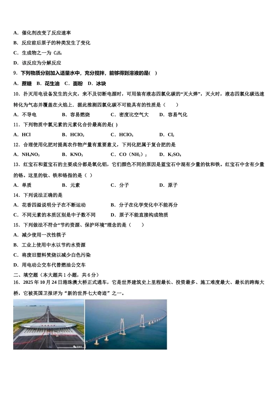 广东省2025年深圳市龙岗区龙城初级中学中考冲刺卷化学试题含解析_第3页