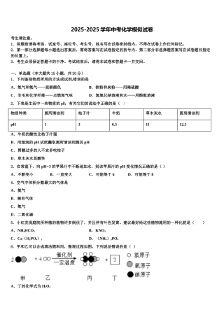 广东省2025年深圳市龙岗区龙城初级中学中考冲刺卷化学试题含解析