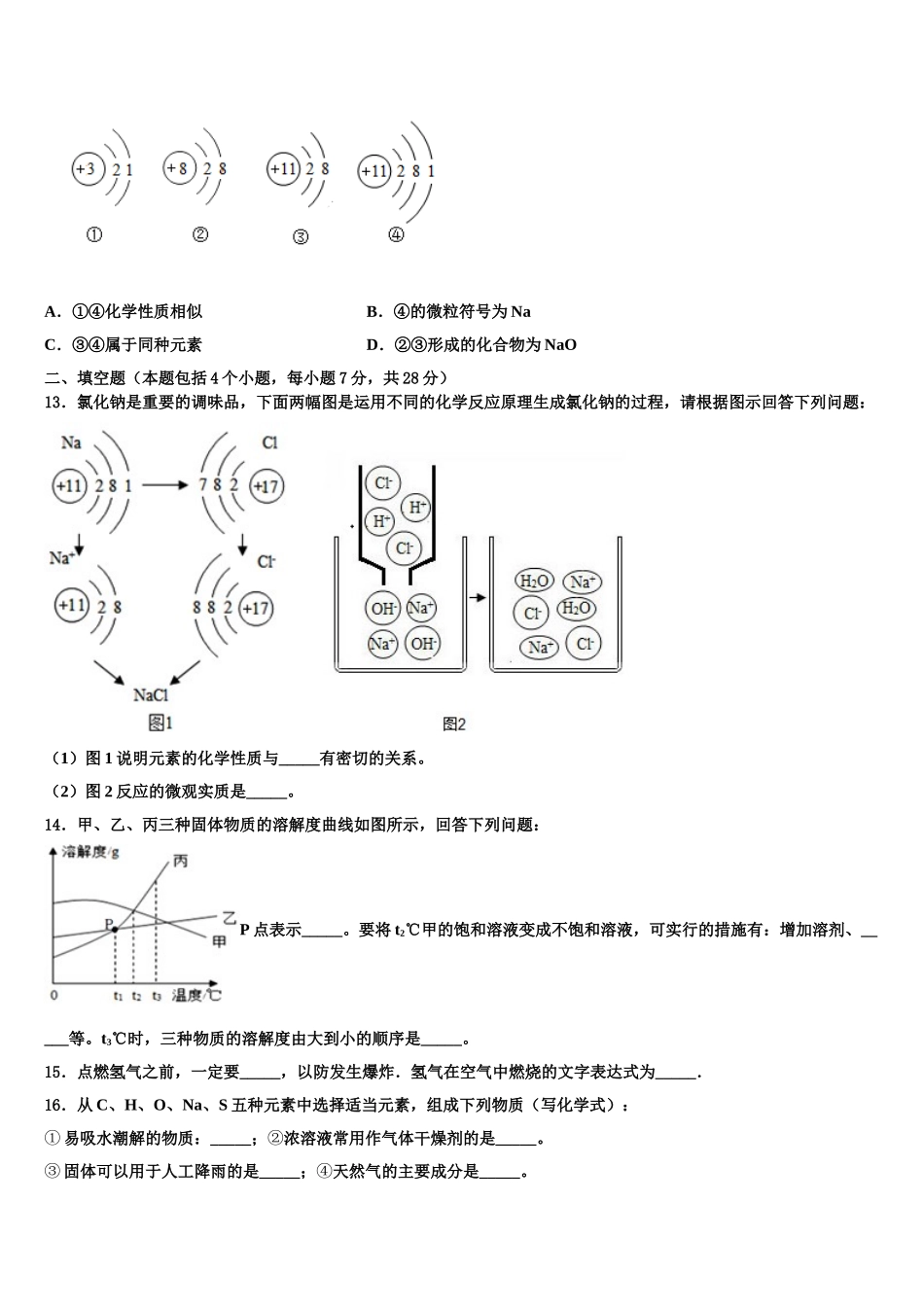 广东省2025年深圳市龙岗区龙城初级中学中考试题猜想化学试卷含解析_第3页