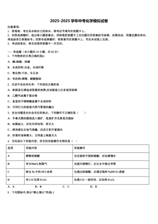 广东省2025年深圳市龙岗区龙岗街道新梓校中考化学最后冲刺浓缩精华卷含解析