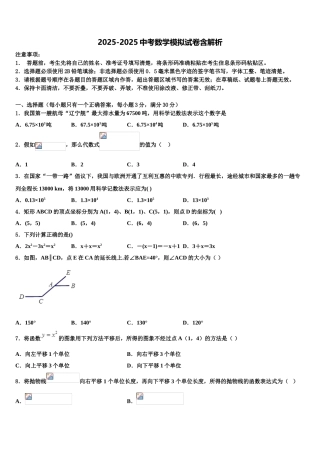 广东省2025年深圳百合外国语校毕业升学考试模拟卷数学卷含解析