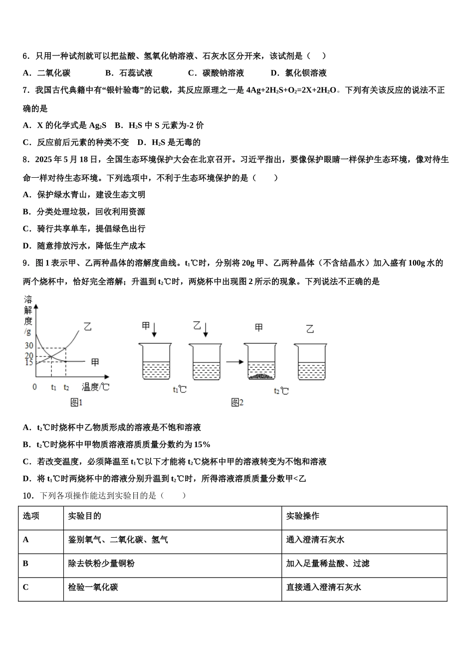 广东省2025年湛江二中学港城中学中考适应性考试化学试题含解析_第2页