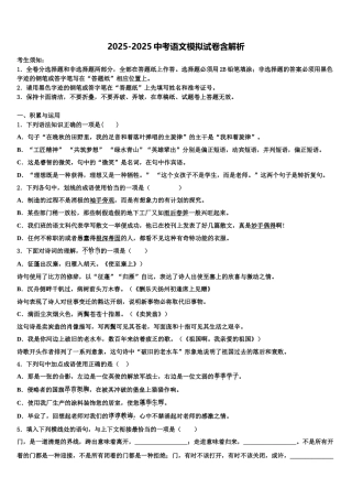 广东省2025年湛江二十七中学中考适应性考试语文试题含解析