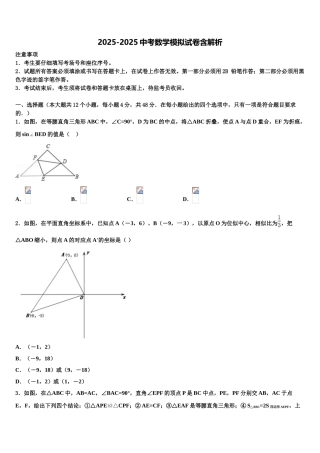 广东省2025年湛江市霞山职业高级中学中考数学模拟预测题含解析