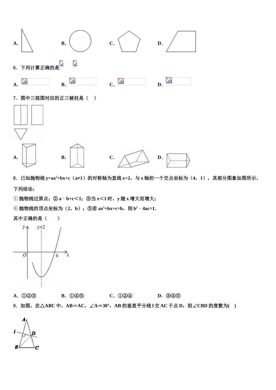 广东省2025年湛江市雷州市中考押题数学预测卷含解析_第2页