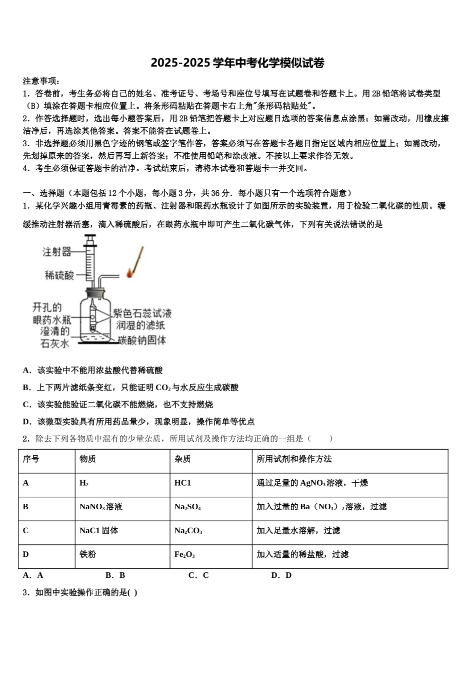 广东省2025年湛江雷州市中考化学模拟精编试卷含解析_第1页