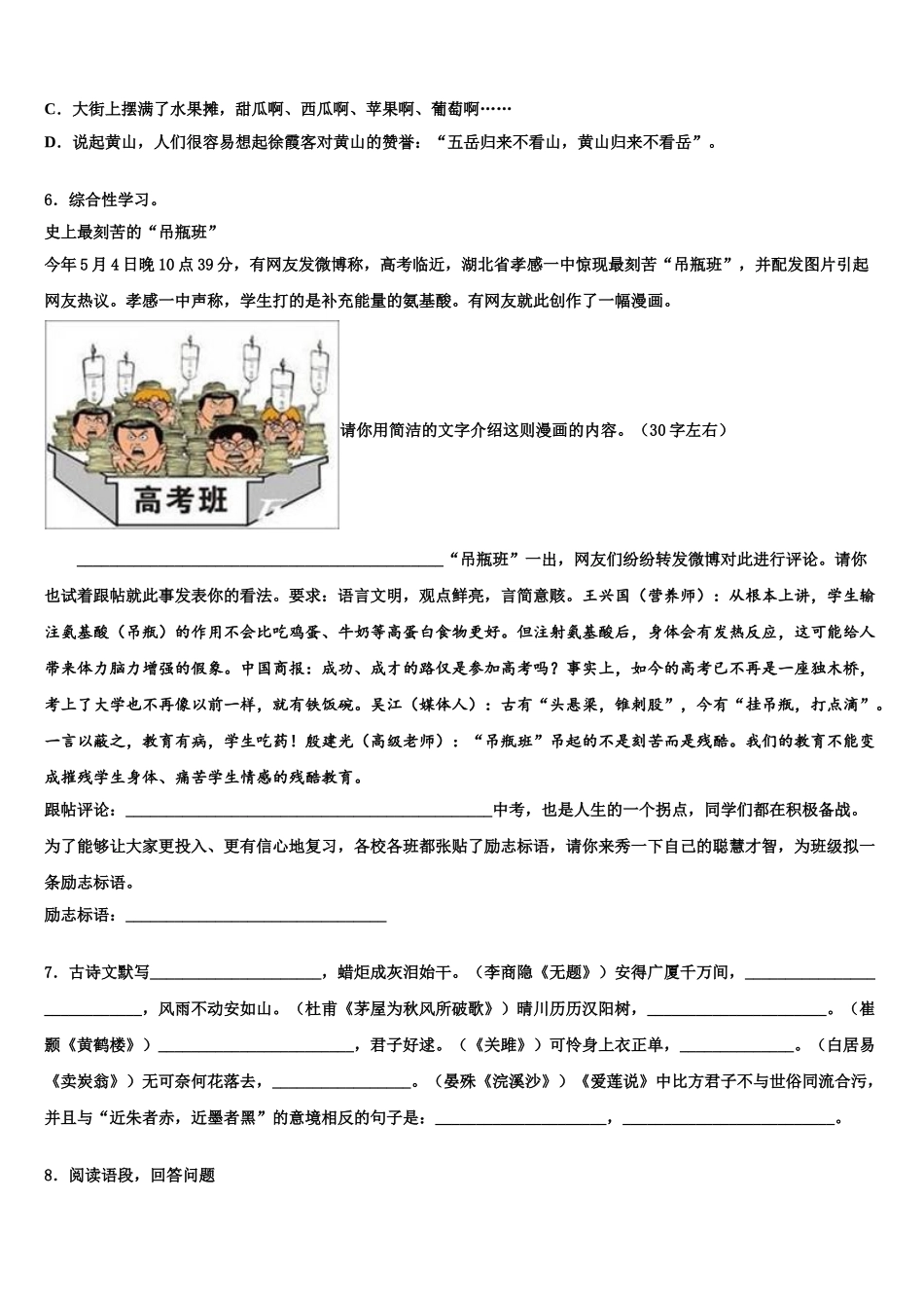 广东省东莞市可园中学中考语文模试卷含解析_第2页