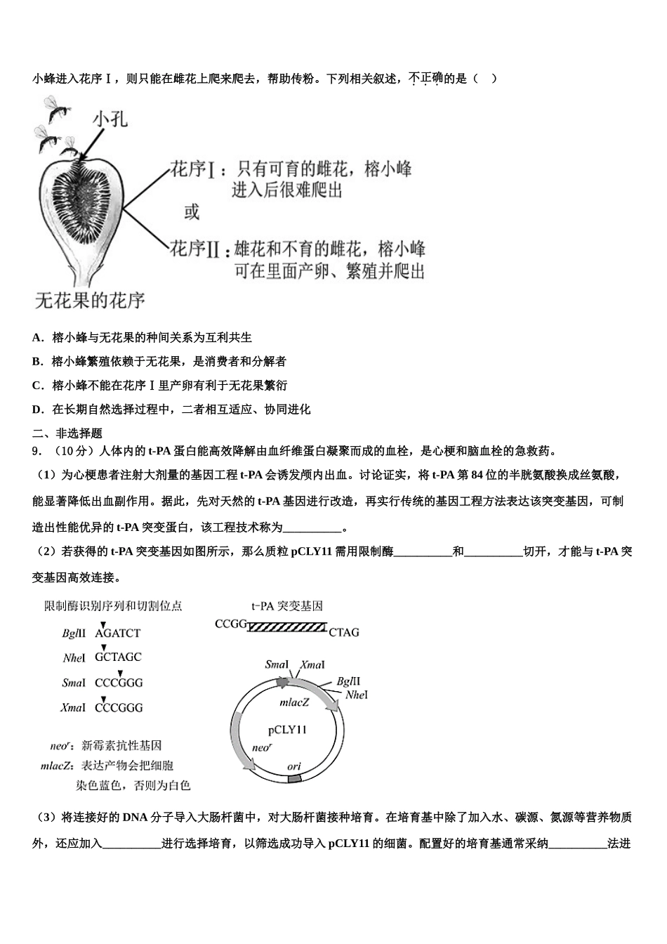 广东省中山一中、潮阳一中等中学高考生物全真模拟密押卷含解析_第3页