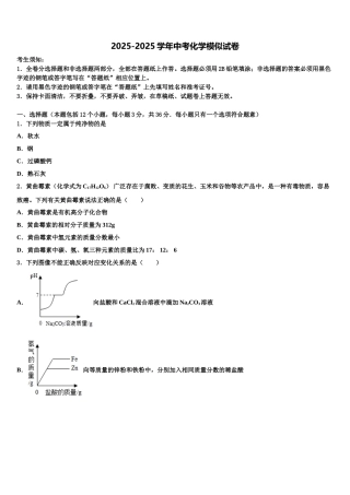 广东省佛山市南海实验中学中考押题化学预测卷含解析