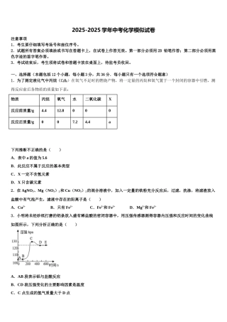 广东省佛山市南海区重点中学中考化学考前最后一卷含解析