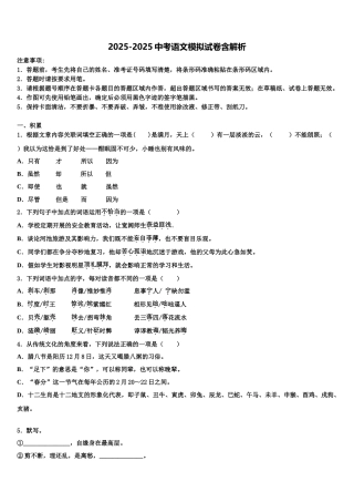 广东省佛山市南海实验中学中考适应性考试语文试题含解析