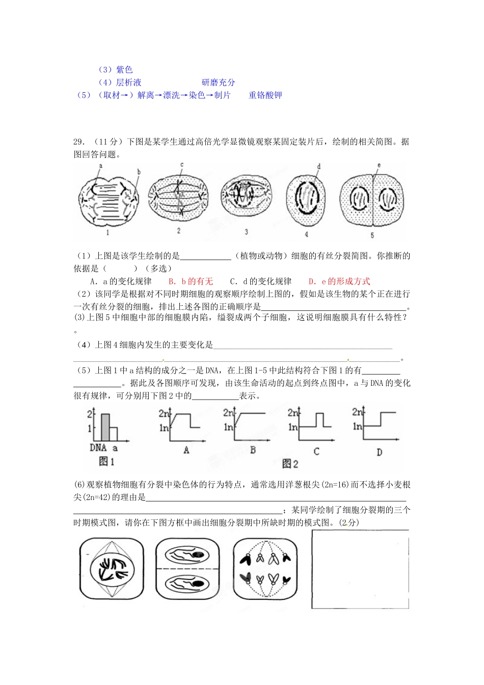 广东省信宜市第二中学2025高中生物-第6章-细胞的生命历程单元测试题-新人教版必修1_第3页