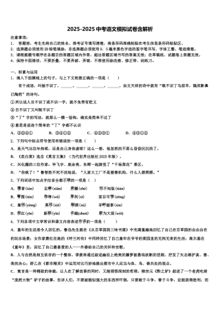 广东省华南师范大第二附属中学中考语文模试卷含解析