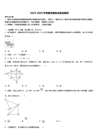 广东省华南师范大附属中学中考数学全真模拟试题含解析