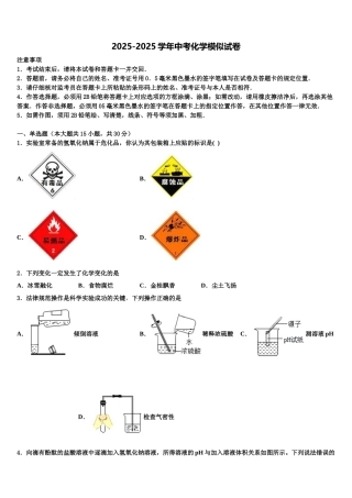 广东省广州三中学中考适应性考试化学试题含解析