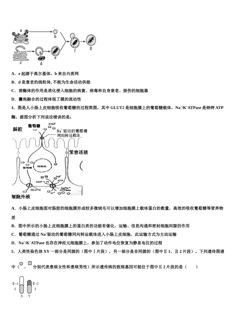 广东省广州增城市高三最后一卷生物试卷含解析_第2页
