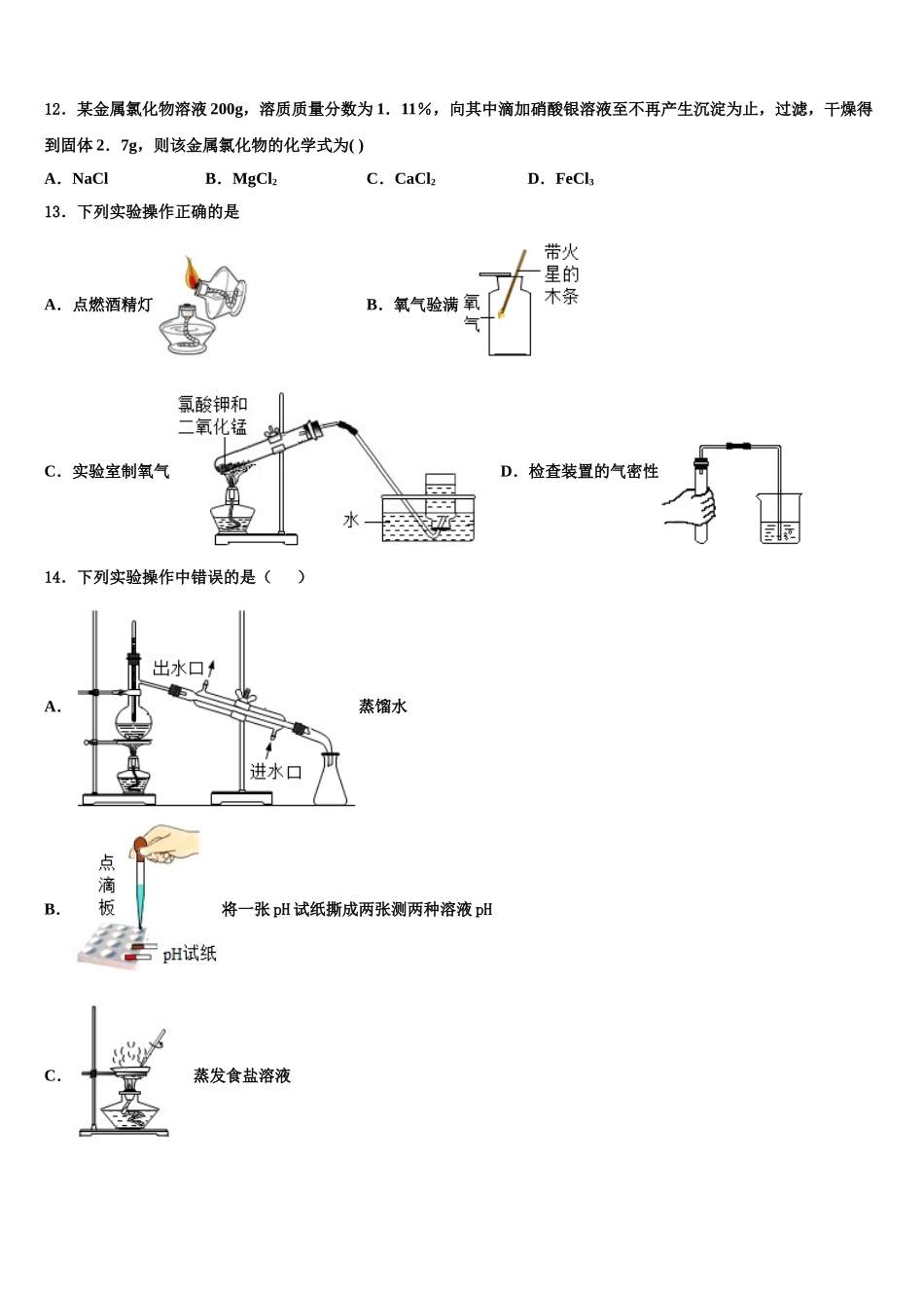 广东省广州市东圃中学中考二模化学试题含解析_第3页