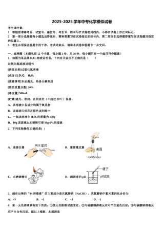 广东省广州市从化区重点中学中考化学押题试卷含解析