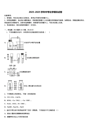 广东省广州市天河达标名校中考冲刺卷化学试题含解析