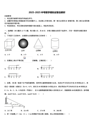 广东省广州市广州大附中中考二模数学试题含解析