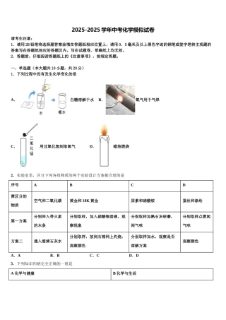 广东省广州市梓元岗中学中考三模化学试题含解析
