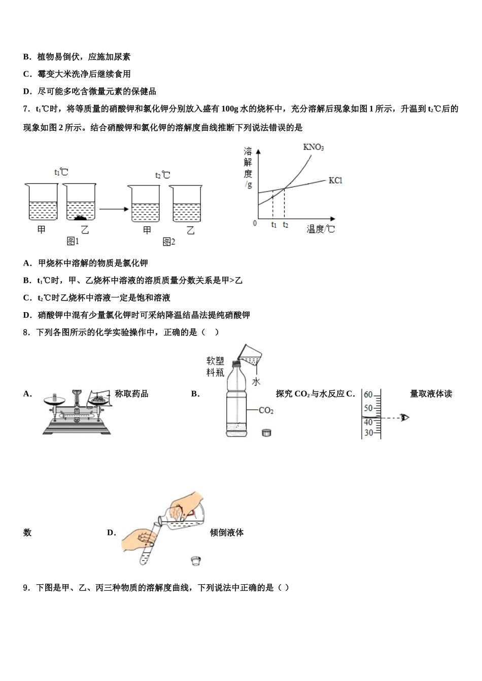 广东省广州市海鸥学校中考化学模拟预测题含解析_第2页