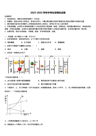 广东省广州市番禺区中考化学模拟精编试卷含解析