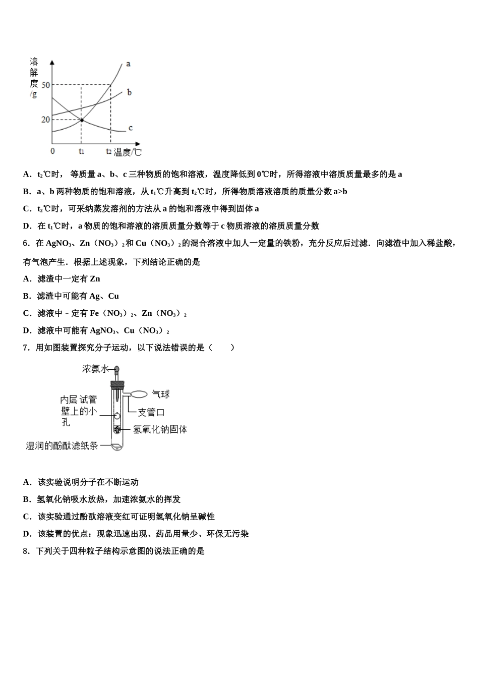 广东省广州市白云区华师附中新世界校中考三模化学试题含解析_第2页