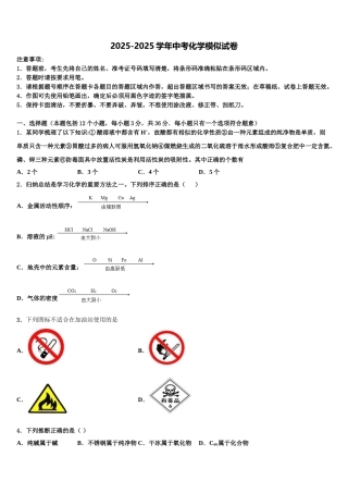 广东省广州市第65中学中考二模化学试题含解析