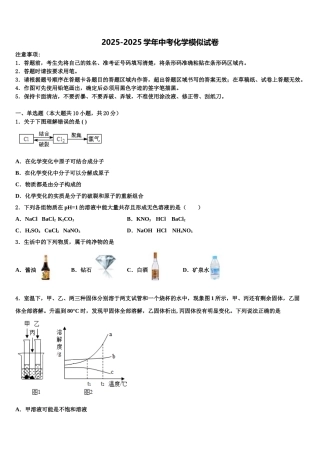 广东省广州市第七中学中考化学模试卷含解析