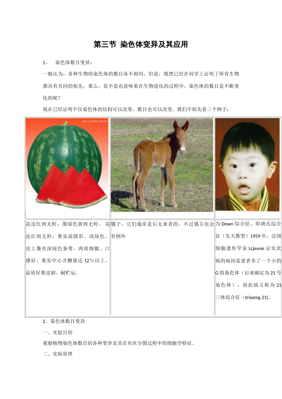 高二生物 3.3《染色体变异及其应用》素材（苏教版必修2）_第1页
