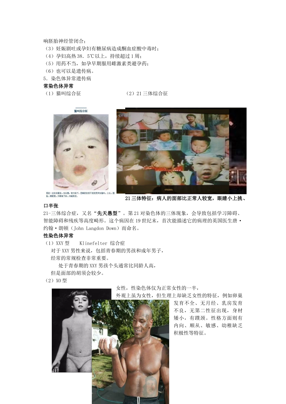高二生物 4.5《人类遗传病》相关素材（苏教版必修2）_第3页