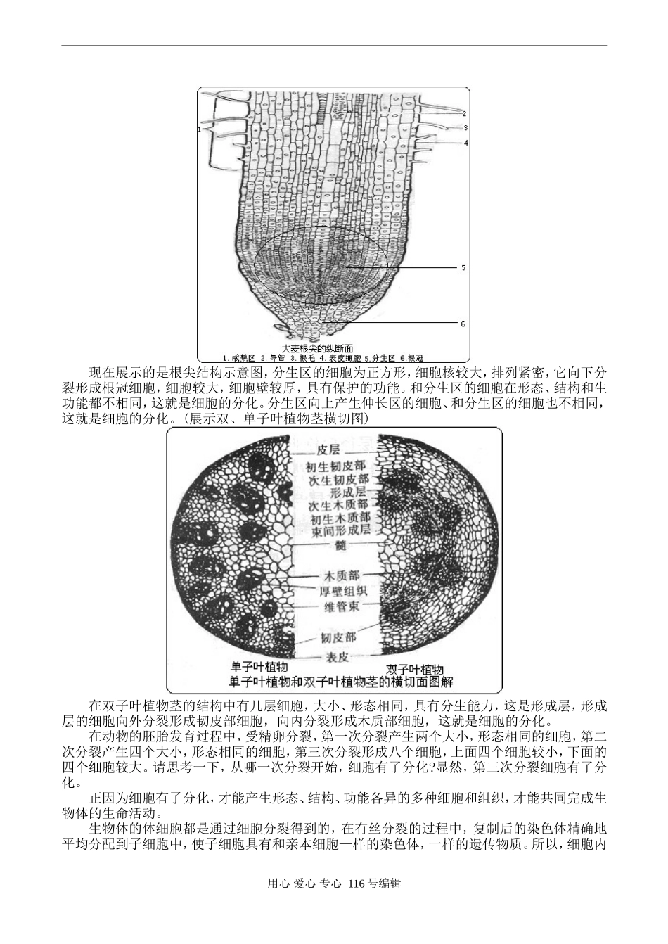 高二生物 细胞的分化、癌变和衰老_第2页