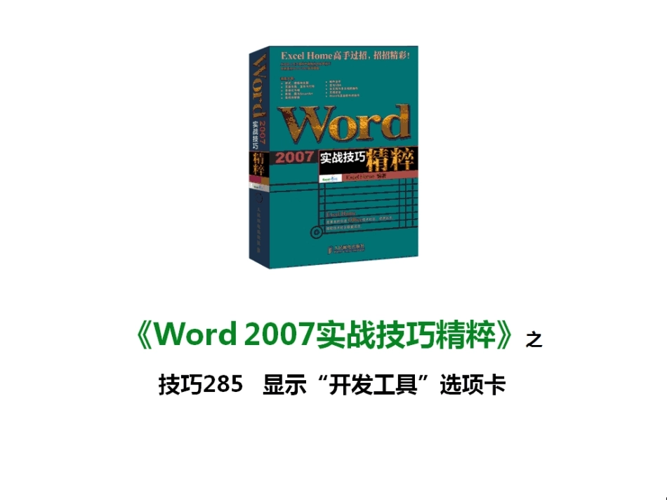 技巧285 显示“开发工具”选项卡_第1页