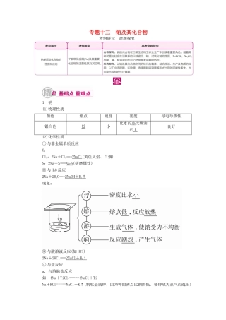 高考化学一轮复习 专题十三 钠及其化合物教学案-人教版高三全册化学教学案