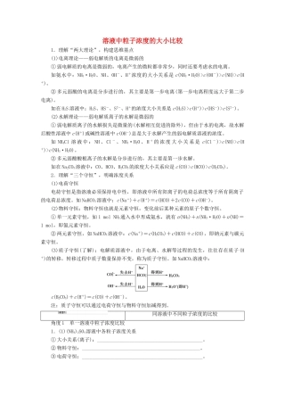 高考化学一轮复习 专项突破23 溶液中粒子浓度的大小比较教学案 鲁科版-鲁科版高三全册化学教学案