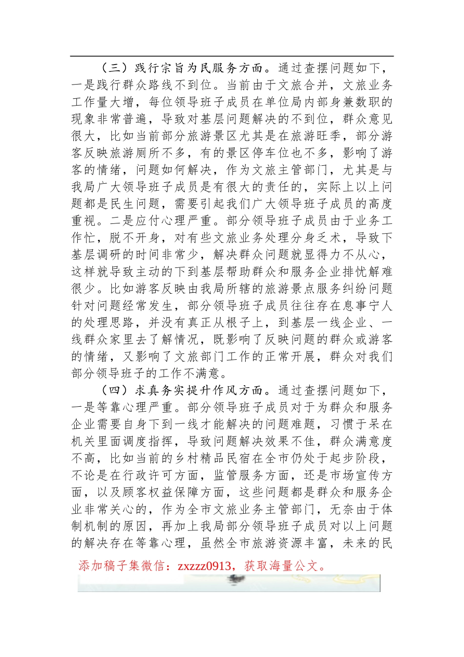 市文化和旅游局领导班子D性检视剖析材料_第3页