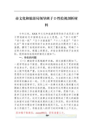 市文化和旅游局领导班子D性检视剖析材料