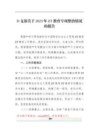 D支部关于2023年ZT教育专项整治情况的报告