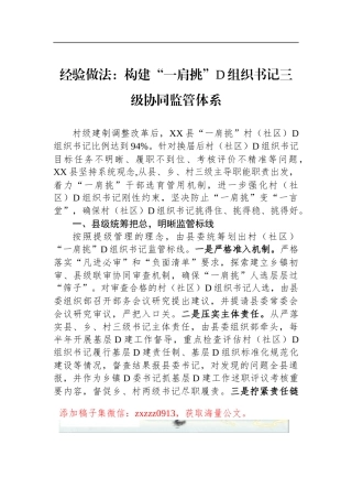 经验做法：构建“一肩挑”D组织书记三级协同监管体系