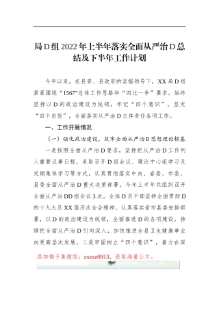 局D组XX年上半年落实全面从严治D总结及下半年工作计划