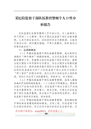 某纪检监察干部队伍教育整顿个人D性分析报告