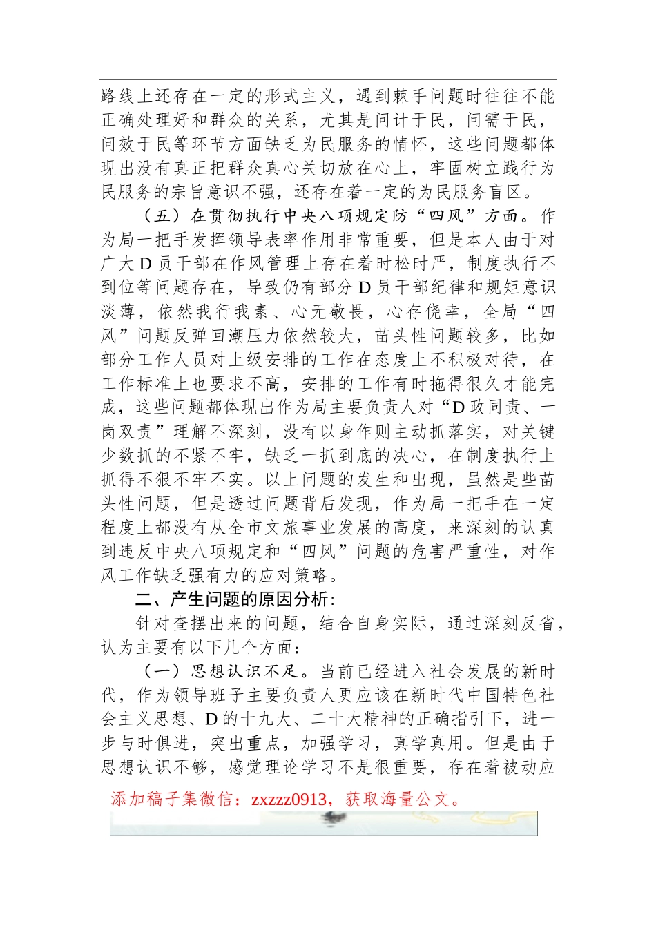 市文化和旅游局局长个人D性剖析材料_第3页