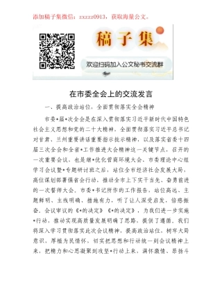 在市委全会上的交流发言