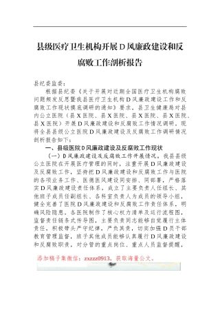 县级医疗卫生机构开展D风廉政建设和反腐败工作剖析报告