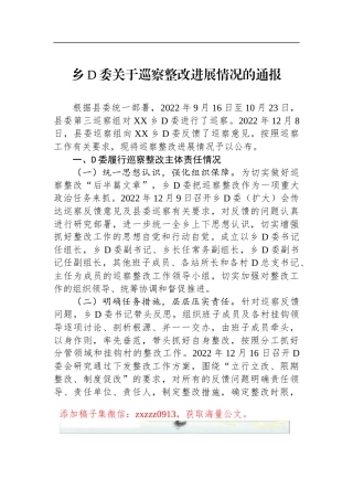 乡D委关于巡察整改进展情况的通报2