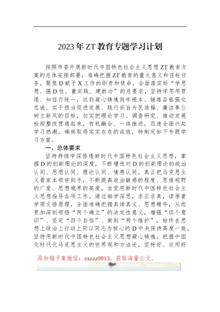 2023年ZT教育专题学习计划